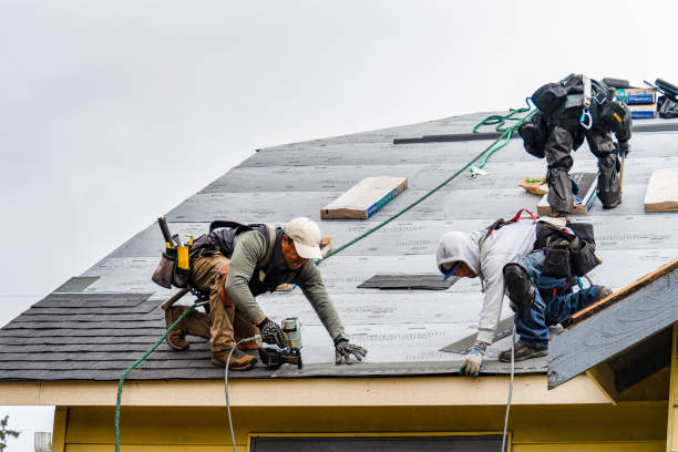 Professional Emergency Roof Repair technician working in Congerville, IL